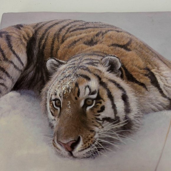 Robert Bateman Natural Worlds Photography Art Rich Archbold Hardcover Table 1996 - Picture 6 of 13